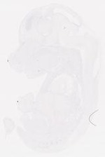 EMAGE:7105