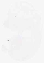 EMAGE:7106