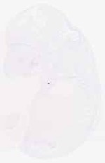 EMAGE:7171