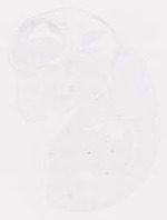 EMAGE:7256