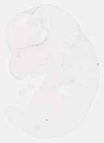 EMAGE:7412