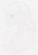 EMAGE:7443