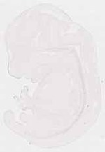 EMAGE:7485