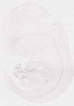 EMAGE:7549