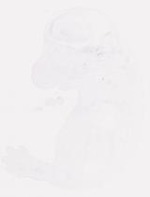 EMAGE:7560