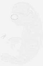 EMAGE:7685