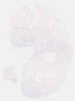 EMAGE:7735