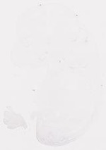 EMAGE:7773