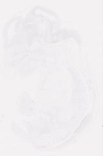 EMAGE:7854