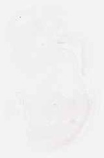 EMAGE:7881