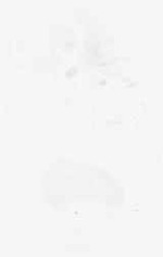 EMAGE:7882