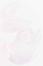EMAGE:7888