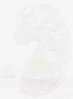 EMAGE:7897