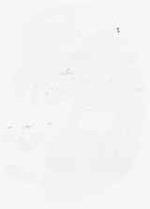 EMAGE:7897