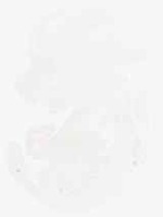 EMAGE:7900