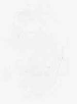 EMAGE:7903