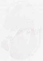 EMAGE:7903