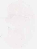 EMAGE:7924