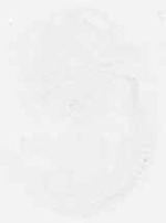 EMAGE:7929