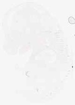 EMAGE:7937