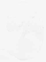 EMAGE:7940