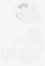 EMAGE:7946