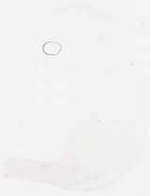 EMAGE:7951