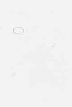 EMAGE:7954