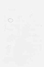 EMAGE:7954
