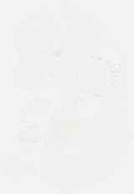 EMAGE:7954