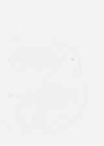 EMAGE:7954