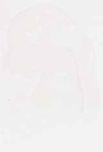 EMAGE:7954
