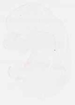 EMAGE:7954