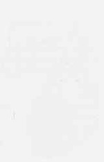 EMAGE:7954