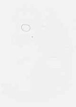 EMAGE:7954