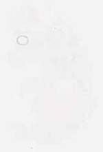 EMAGE:8025