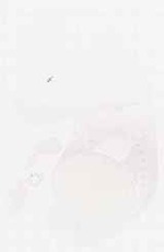 EMAGE:8049