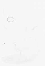 EMAGE:8052