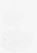 EMAGE:8103