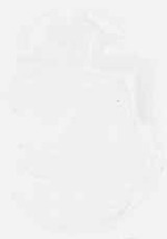 EMAGE:8132