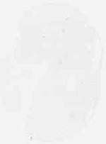 EMAGE:8158