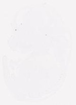 EMAGE:8224