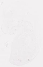 EMAGE:8244