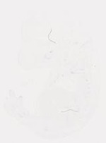 EMAGE:8244