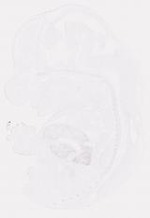 EMAGE:8252