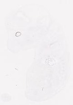 EMAGE:8255