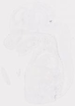 EMAGE:8336