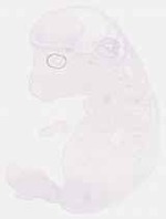 EMAGE:8401