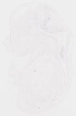 EMAGE:8451