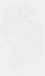 EMAGE:8455